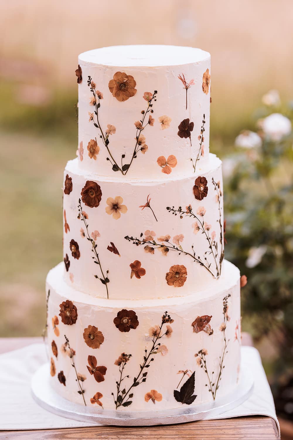 Image by <a class="text-p3" href="https://www.njphotographic.co.uk" target="_blank">Neil Jackson Photographic</a>.