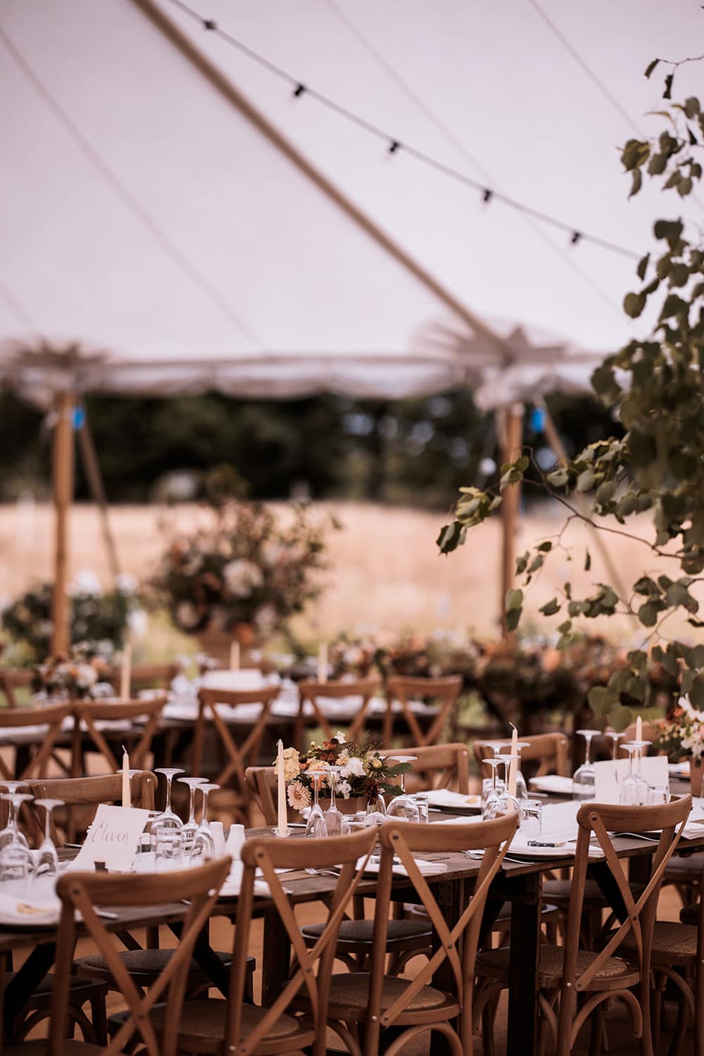 Image by <a class="text-p3" href="https://www.njphotographic.co.uk" target="_blank">Neil Jackson Photographic</a>.