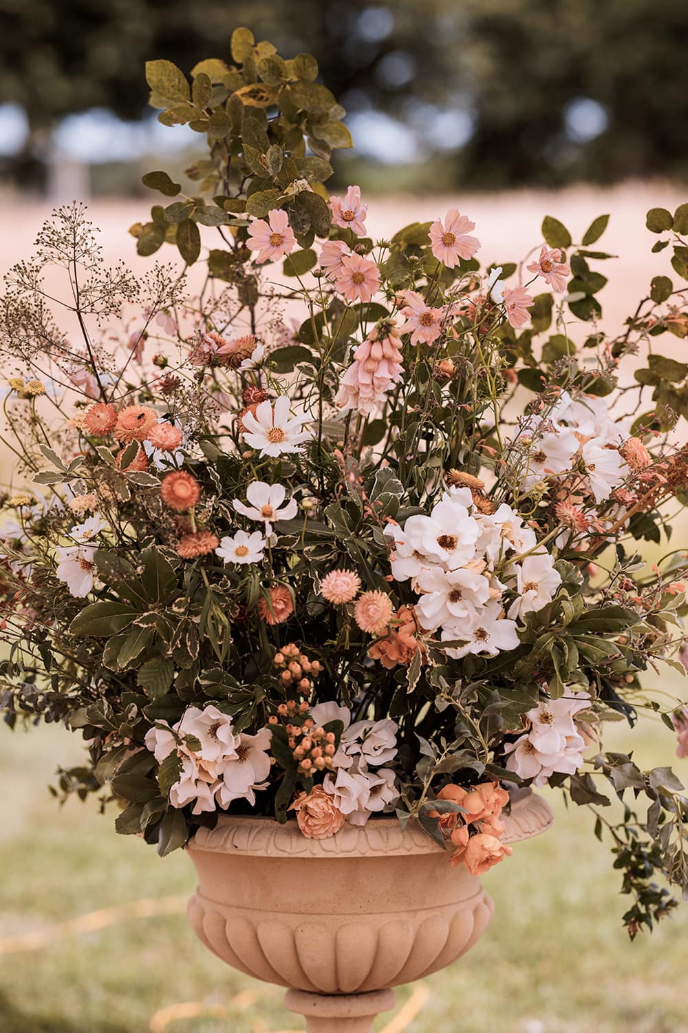 Image by <a class="text-p3" href="https://www.njphotographic.co.uk" target="_blank">Neil Jackson Photographic</a>.