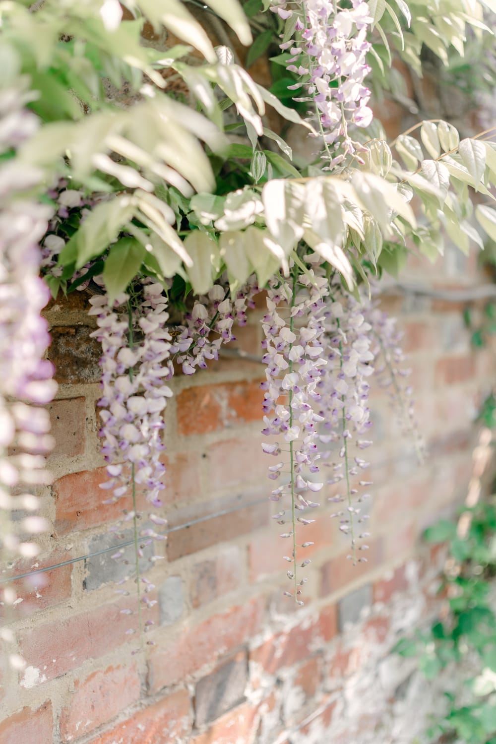 Image by <a class="text-p3" href="https://www.charlenewebbphotography.co.uk" target="_blank">Charlene Webb Photography</a>.