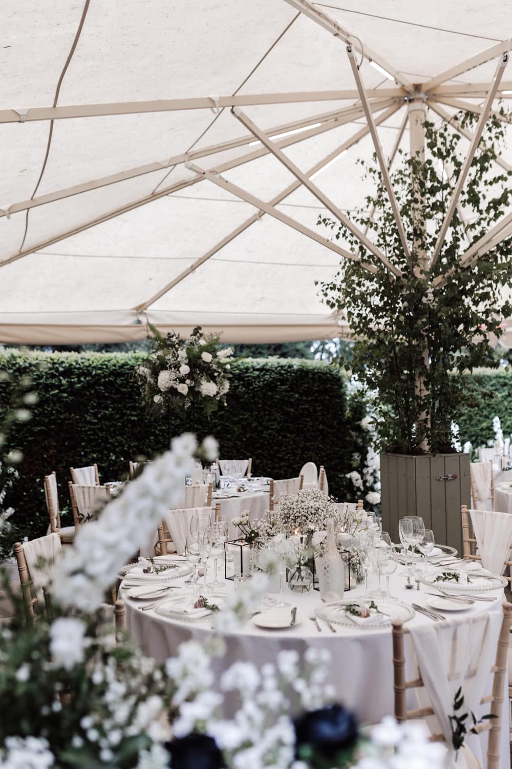 Image by <a class="text-p3" href="https://www.oliviaamyphotography.com" target="_blank">Olivia Amy Photography</a>.