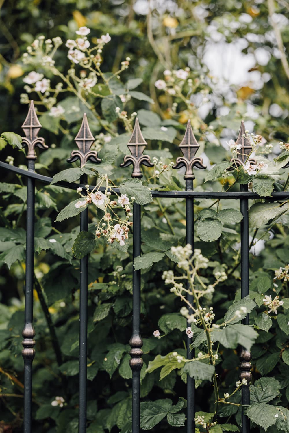 Image by <a class="text-p3" href="https://www.carlawhittingham.co.uk" target="_blank">Carla Whittingham Photography</a>.