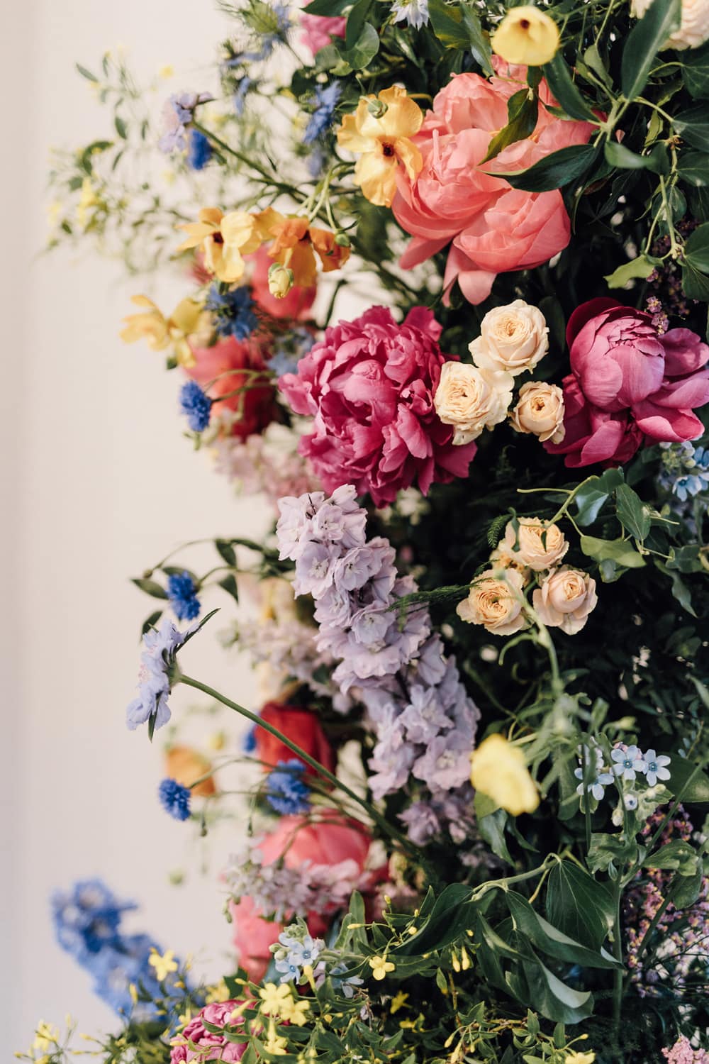 Image by <a class="text-p3" href="https://www.carlawhittingham.co.uk" target="_blank">Carla Whittingham Photography</a>.