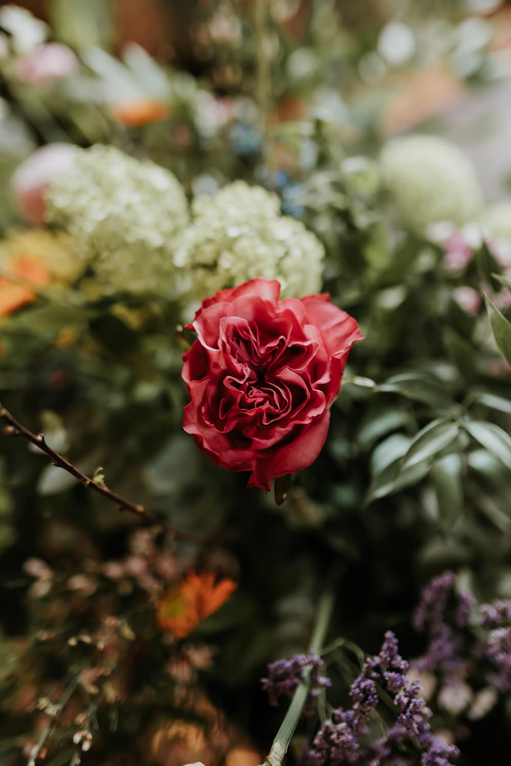 Image by <a class="text-p3" href="https://www.gabrielasphotographyandfilm.com" target="_blank">Gabriela's Photography and Film</a>.