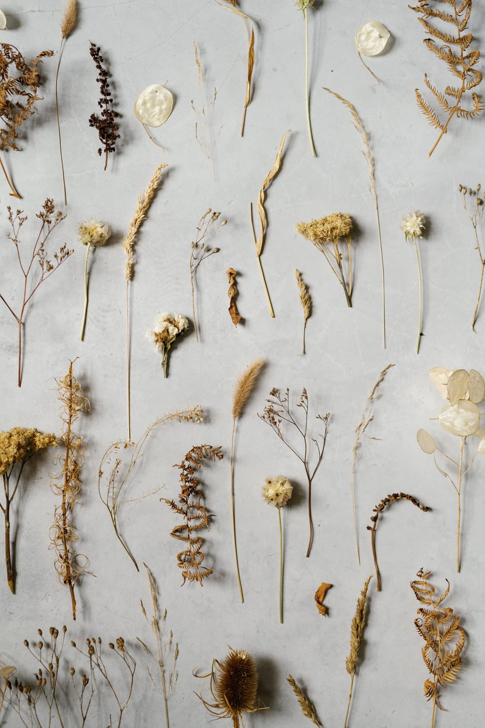 Image by <a class="text-p3" href="http://www.capturedbykatrina.co.uk" target="_blank">Captured by Katrina</a>.