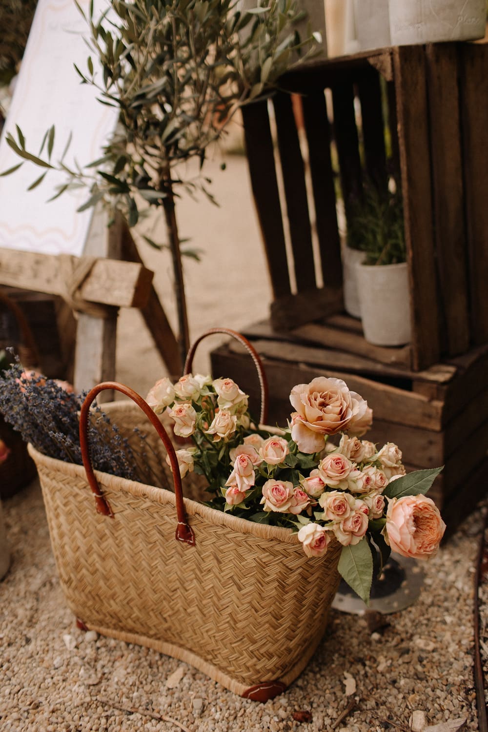 Image by <a class="text-p3" href="https://francesmarysales.com" target="_blank">Frances Mary Sales</a>.