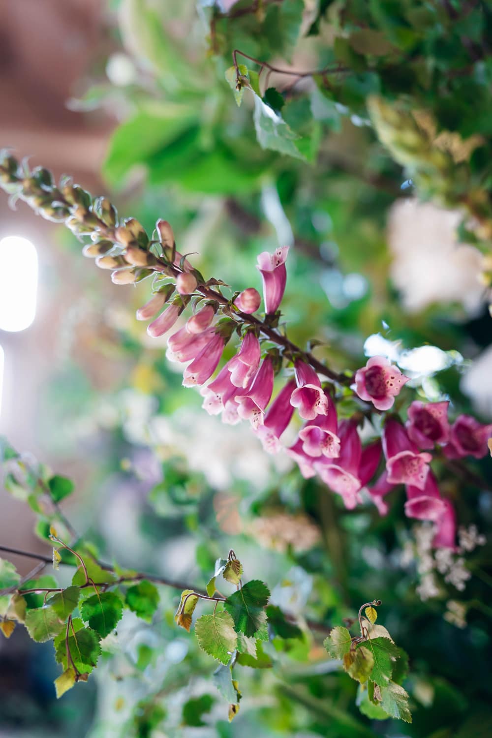 Image by <a class="text-p3" href="https://emilycollettphotography.com" target="_blank">Emily Collett Photography</a>.