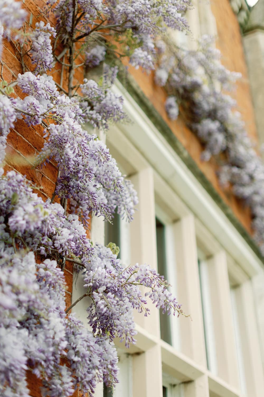 Image by <a class="text-p3" href="https://www.amylouphotography.co.uk" target="_blank">Amy Lou Photography</a>.