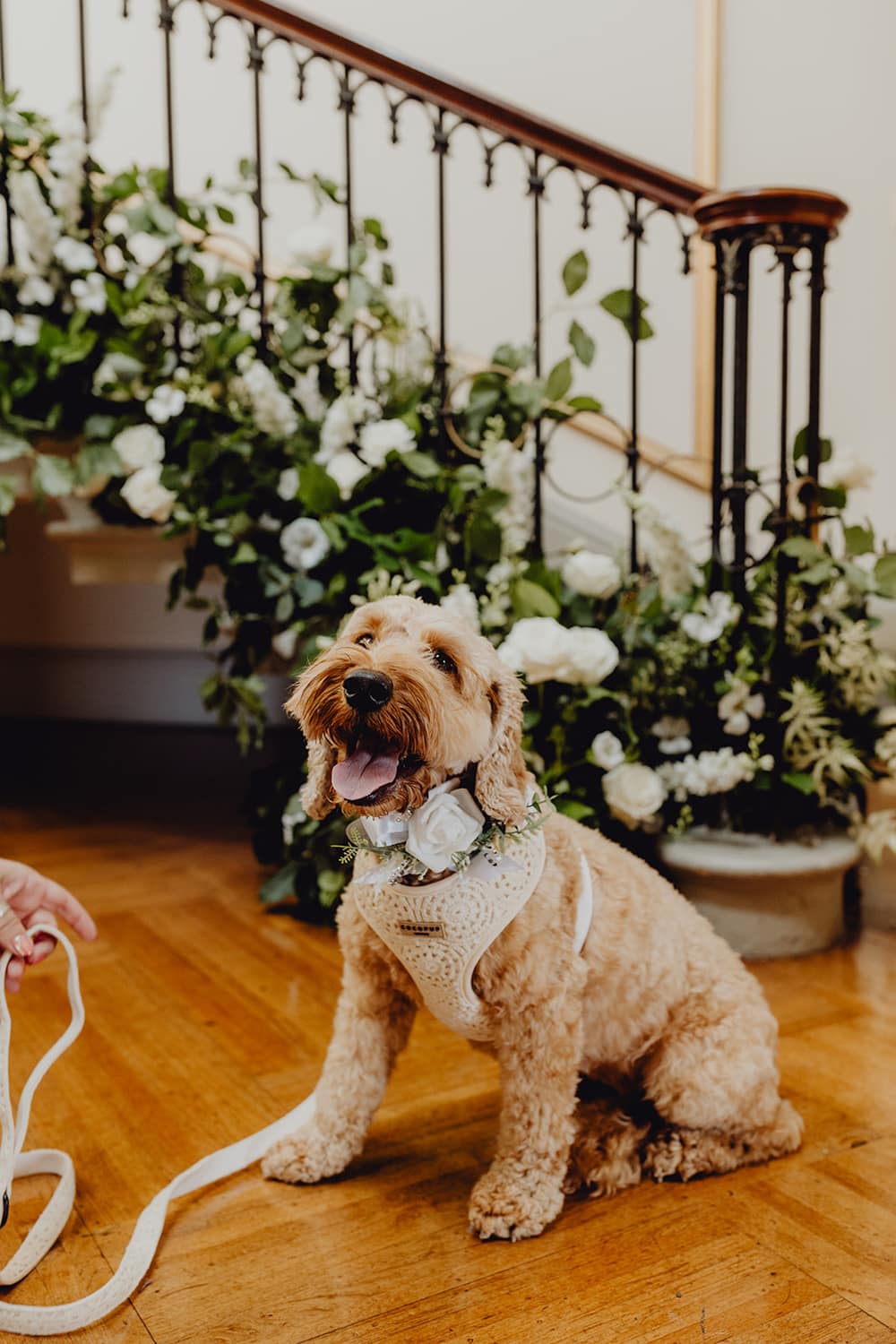 Image by <a class="text-p3" href="https://www.emiliakatephotography.co.uk" target="_blank">Emilia Kate Photography</a>.