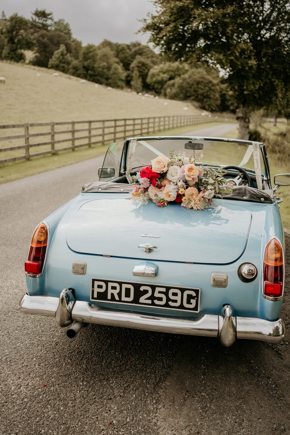 Image by <a class="text-p3" href="https://www.jenniferriddell.co.uk" target="_blank">Jennifer Riddell Photography</a>.