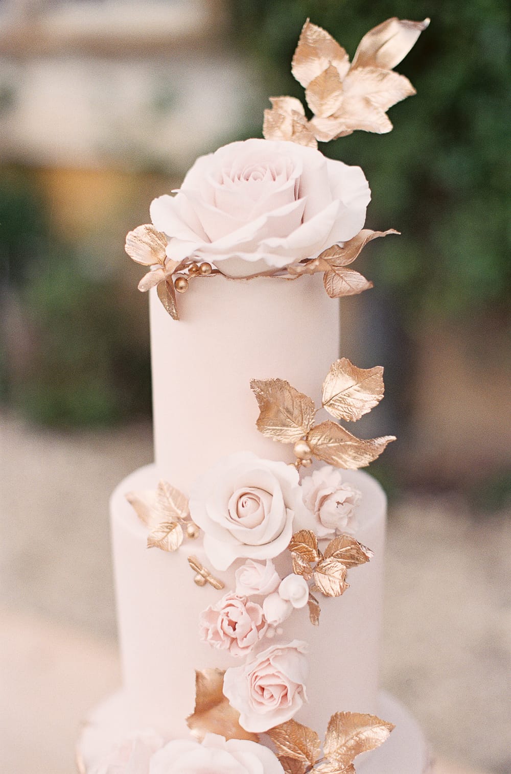 Image by <a class="text-p3" href="http://lizbakerphotography.co.uk" target="_blank">Liz Baker Photography</a>.