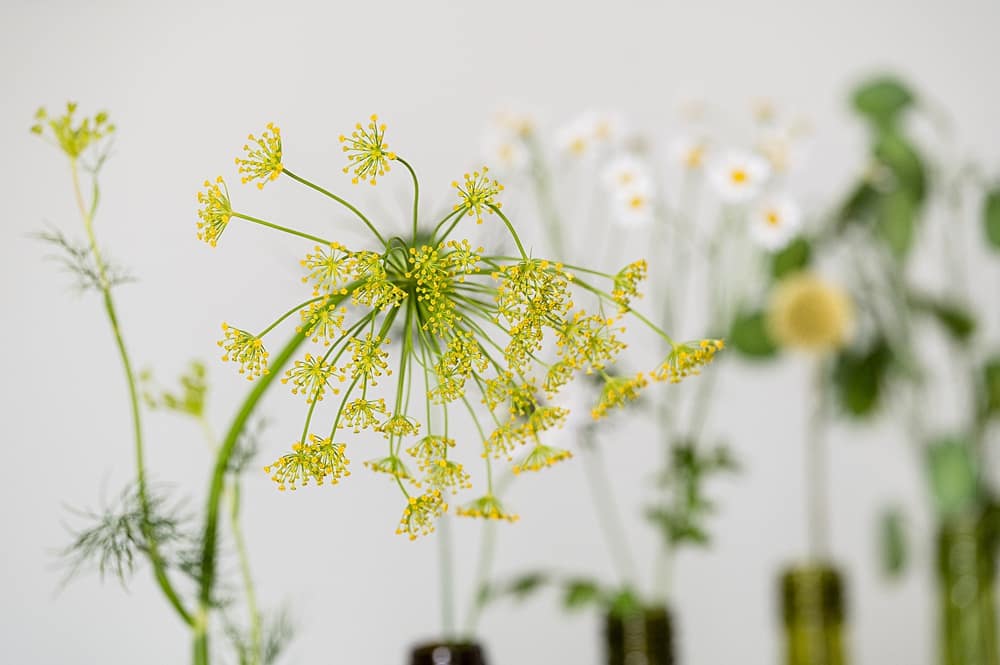 Image by <a class="text-p3" href="https://www.sarahvivienne.co.uk" target="_blank">Sarah Vivienne Photography</a>.