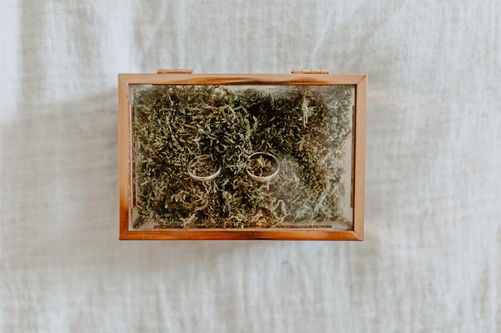 Image by <a class="text-p3" href="https://www.sofiemichellephotography.co.uk" target="_blank">Sofie Michelle Photography</a>.