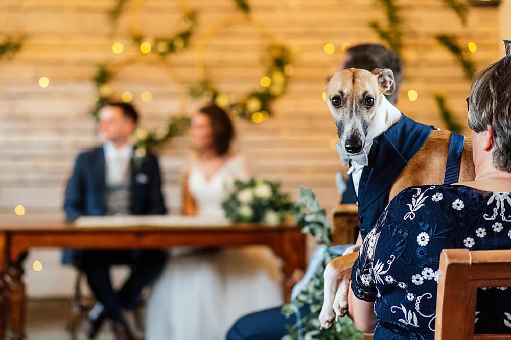 Image by <a class="text-p3" href="https://www.aaroncollettphotography.co.uk" target="_blank">Aaron Collett Photography</a>.