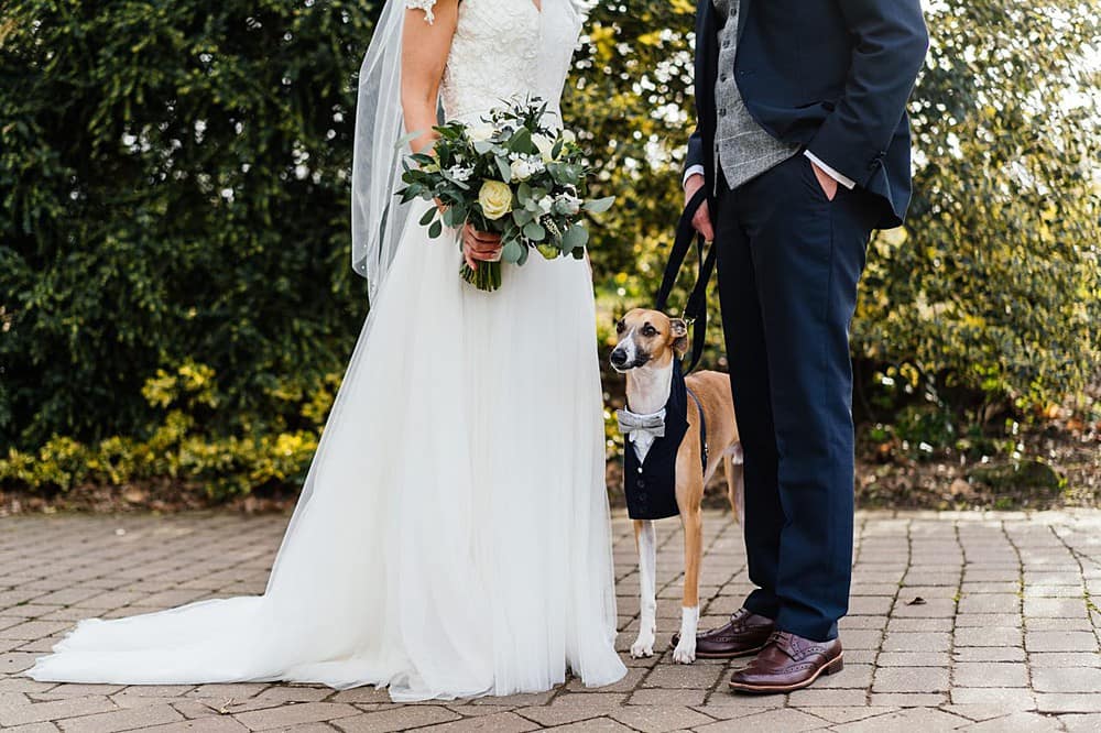 Image by <a class="text-p3" href="https://www.aaroncollettphotography.co.uk" target="_blank">Aaron Collett Photography</a>.