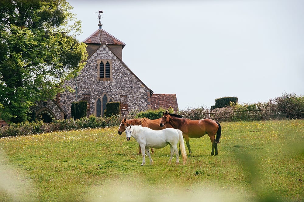 Image by <a class="text-p3" href="http://www.pippamackenzie.com" target="_blank">Pippa Mackenzie Photography</a>.