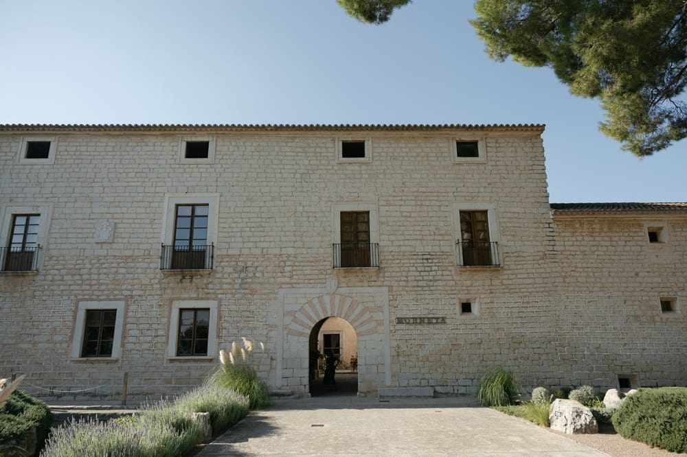 Image by <a class="text-p3" href="https://marcossanchez.net" target="_blank">Marcos Sanchez</a>.