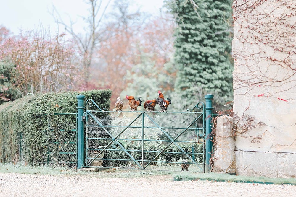 Image by <a class="text-p3" href="https://www.charlottewisephotography.co.uk" target="_blank">Charlotte Wise Fine Art Photography</a>.