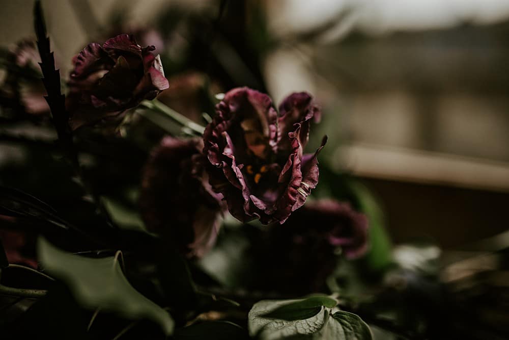 Image by <a class="text-p3" href="https://www.theunbridled.co.uk" target="_blank">The Unbridled</a>.