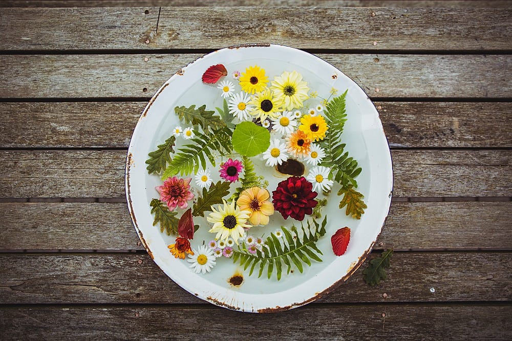 Image by <a class="text-p3" href="https://www.heatherbirniephotography.co.uk" target="_blank">Heather Birnie</a>.