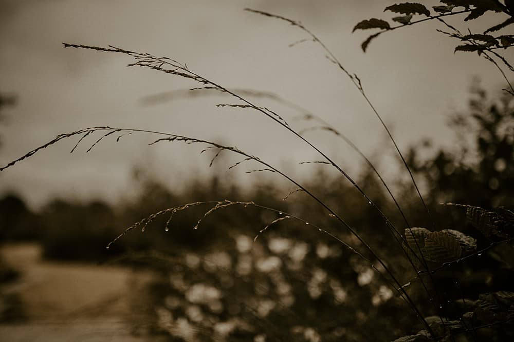 Image by <a class="text-p3" href="https://www.theunbridled.co.uk" target="_blank">The Unbridled</a>.