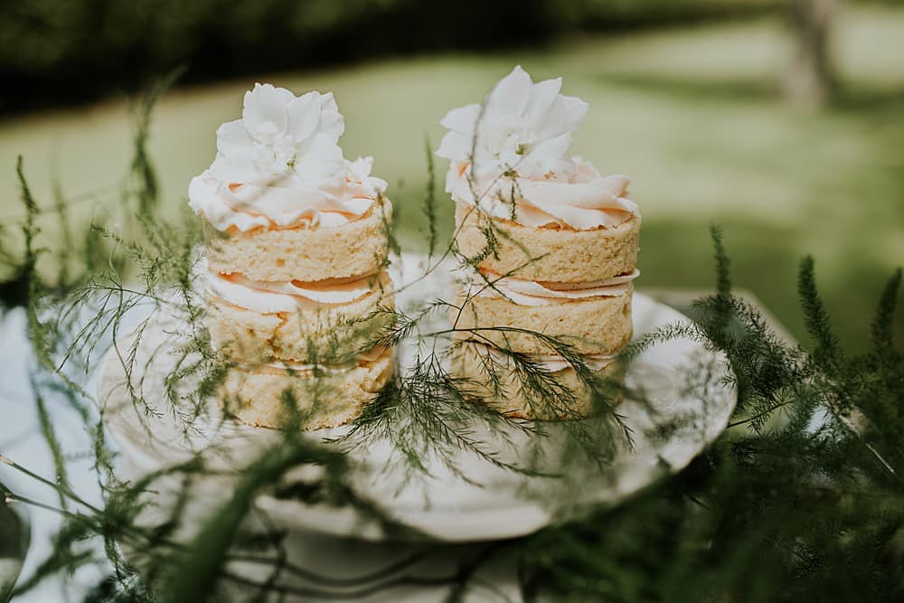 Image by <a class="text-p3" href="http://veronikaward.com" target="_blank">Veronika Ward Photography</a>.