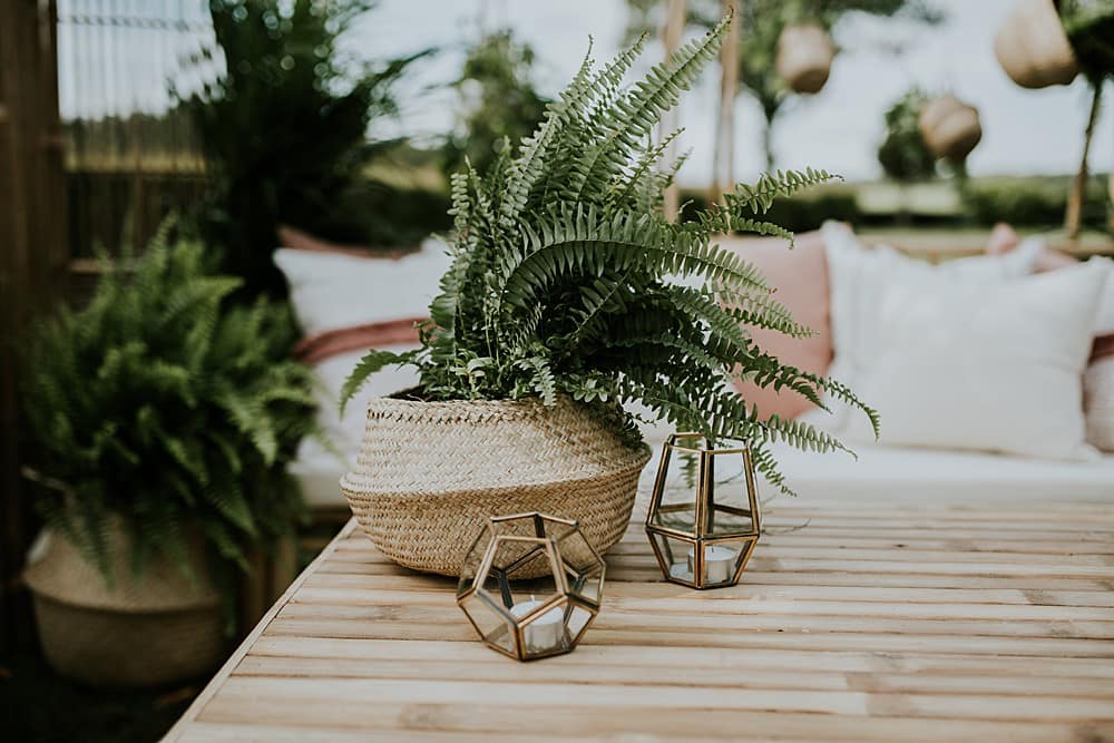 Image by <a class="text-p3" href="http://veronikaward.com" target="_blank">Veronika Ward Photography</a>.