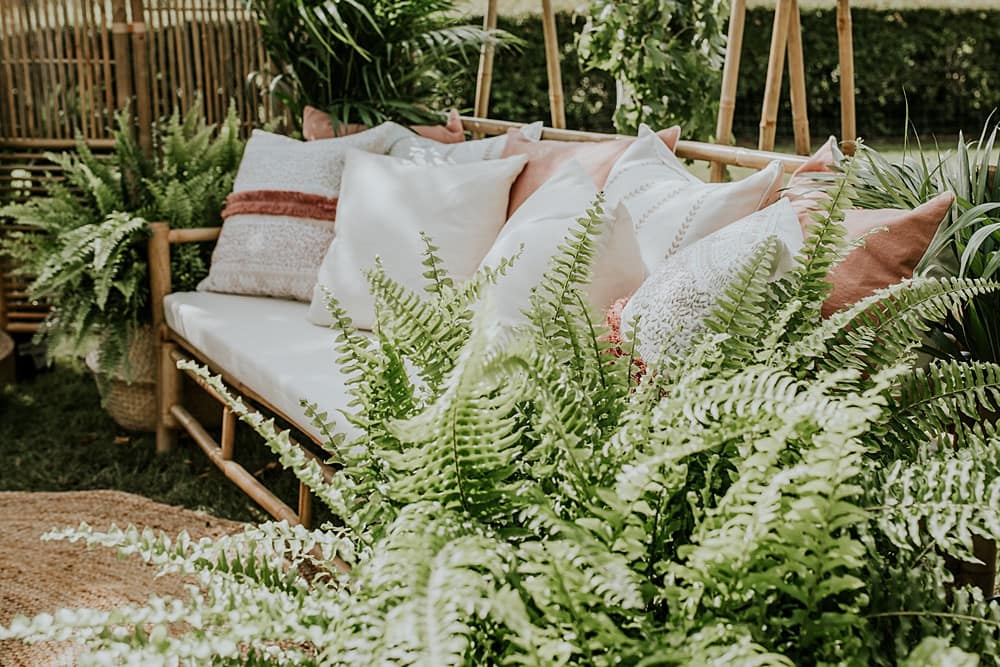 Image by <a class="text-p3" href="http://veronikaward.com" target="_blank">Veronika Ward Photography</a>.