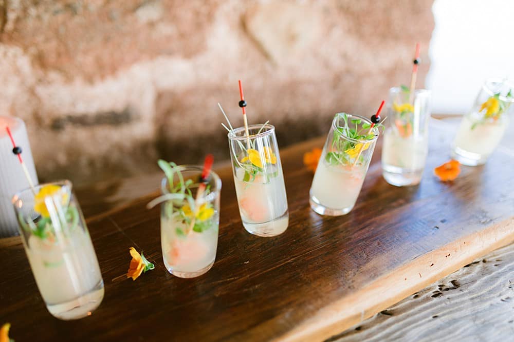 Image by <a class="text-p3" href="https://www.tarastattonphotography.com" target="_blank">Tara Statton Photography</a>.