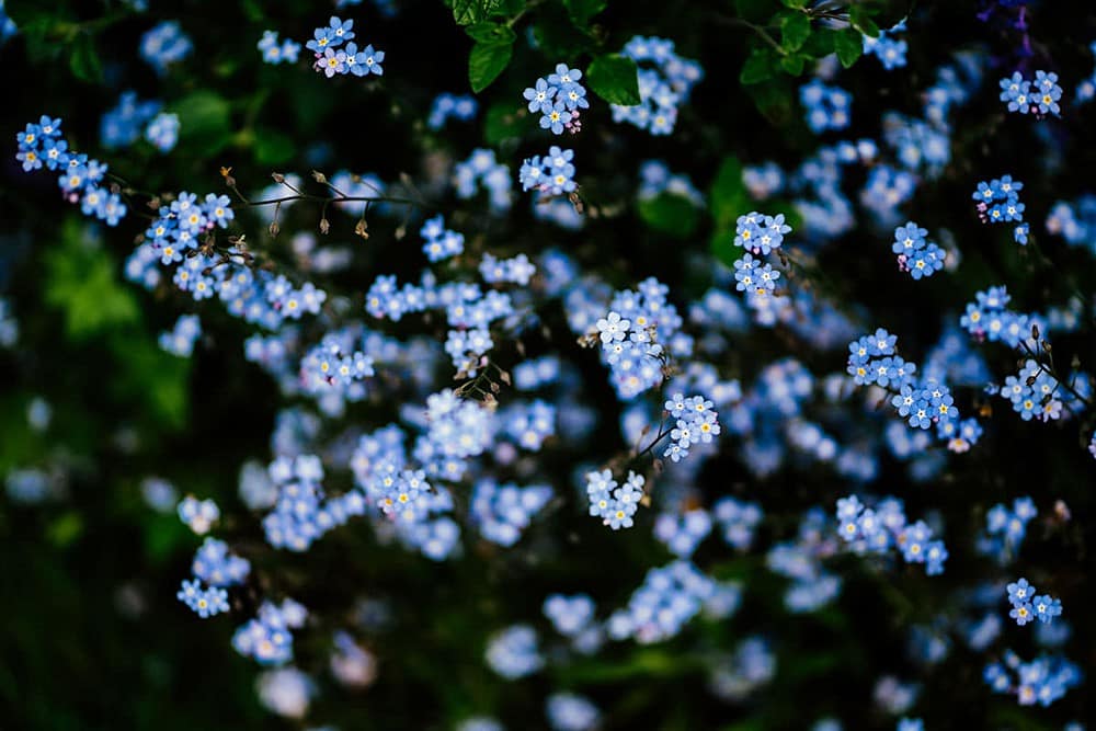 Image by <a class="text-p3" href="http://www.edgodden.co.uk" target="_blank">Ed Godden Photography</a>.