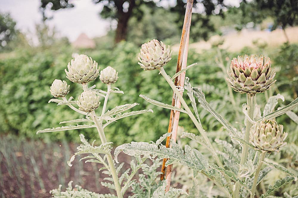 Image by <a class="text-p3" href="https://www.jenniferjanephotography.co.uk" target="_blank">Jennifer Jane Photography</a>.