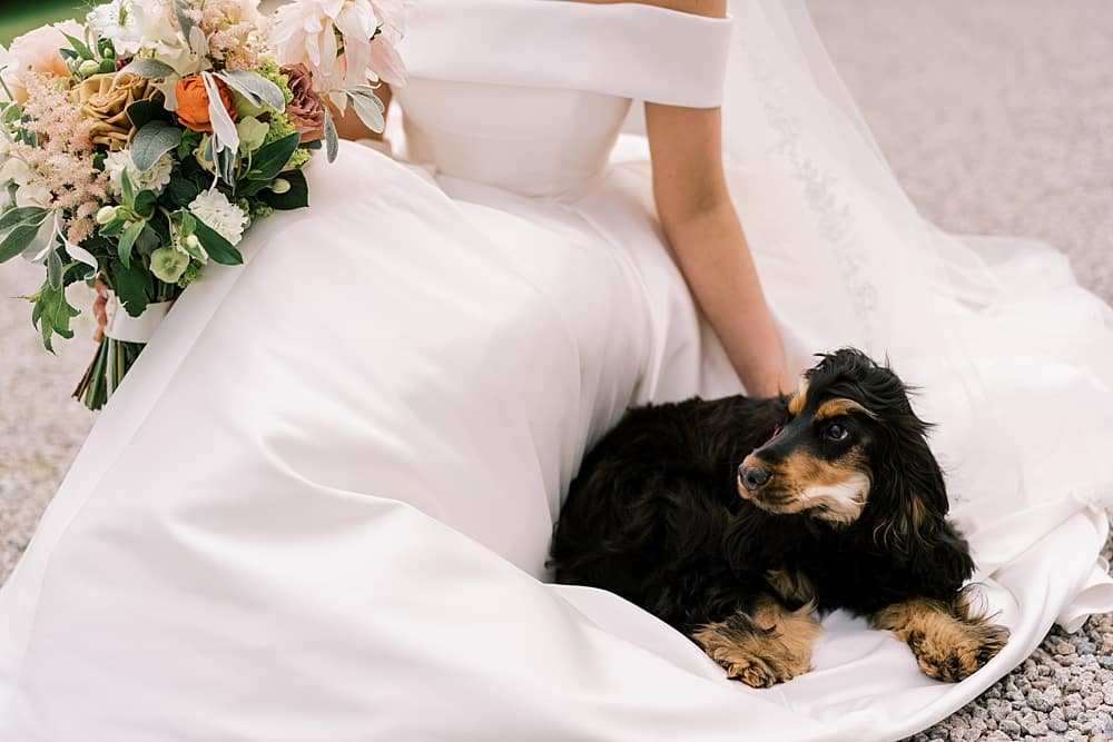 Image by <a class="text-p3" href="http://chrishenderson.co" target="_blank">Chris Henderson Photography</a>.