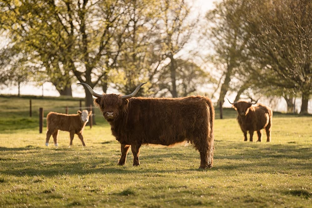 Image by <a class="text-p3" href="https://www.sarahvivienne.co.uk" target="_blank">Sarah Vivienne Photography</a>.