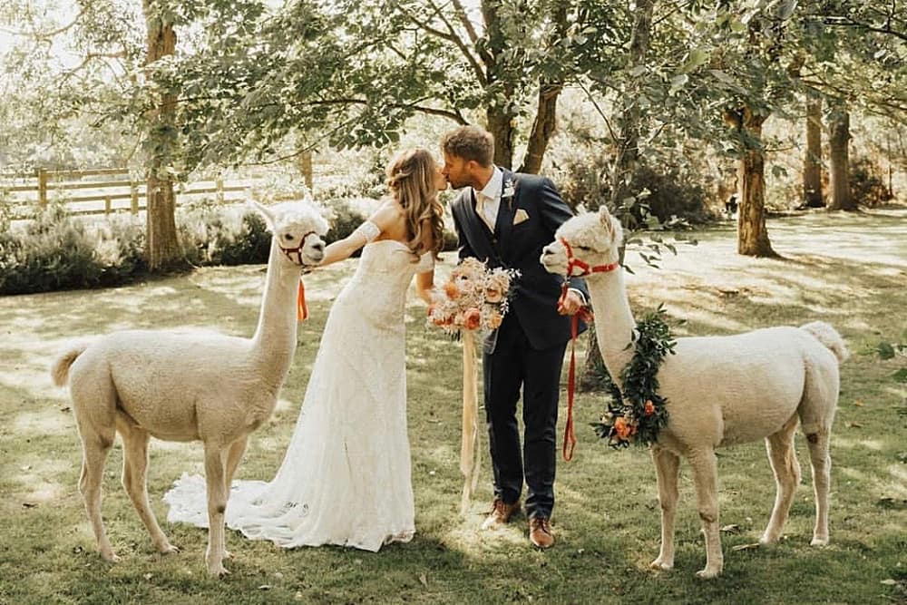 Image by <a class="text-p3" href="https://www.the-wild-bride.com" target="_blank">The Wild Bride</a>.