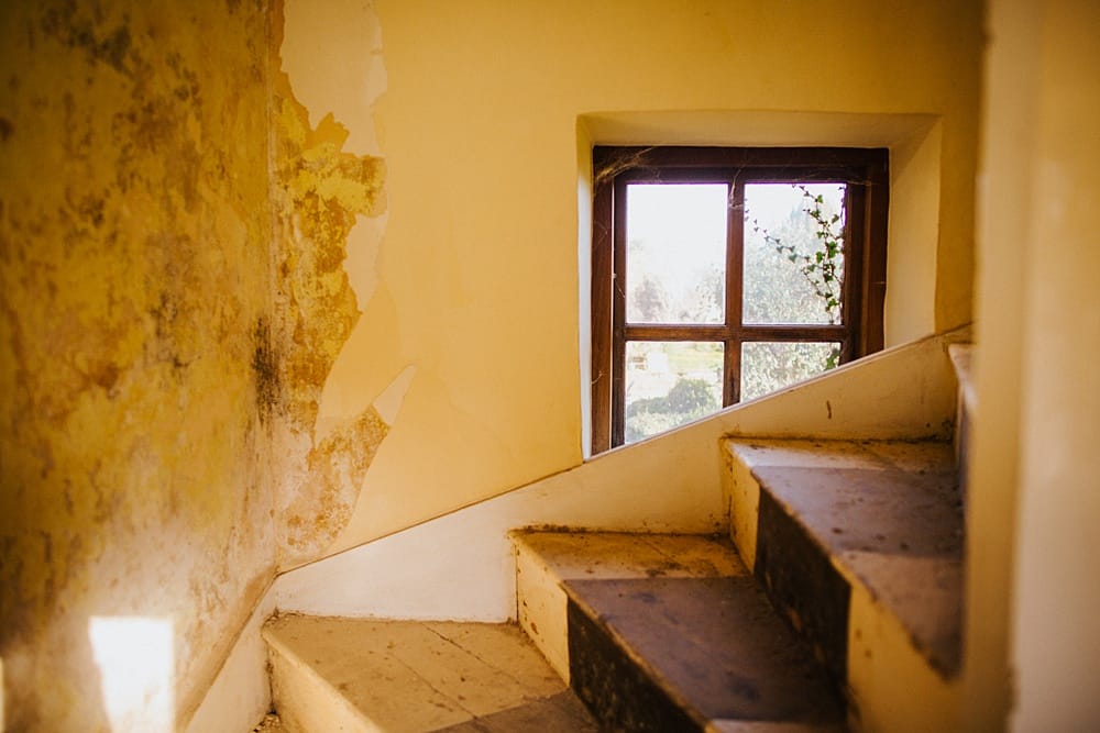 Image by <a class="text-p3" href="https://binkynixon.com" target="_blank">Binky Nixon</a>.