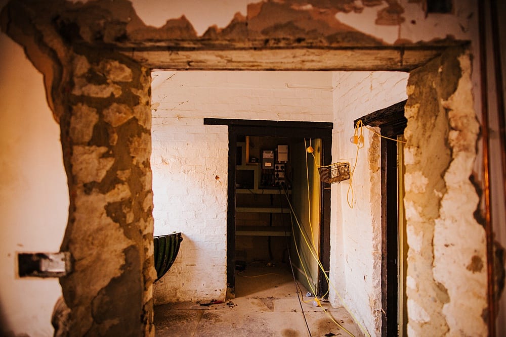 Image by <a class="text-p3" href="https://binkynixon.com" target="_blank">Binky Nixon</a>.