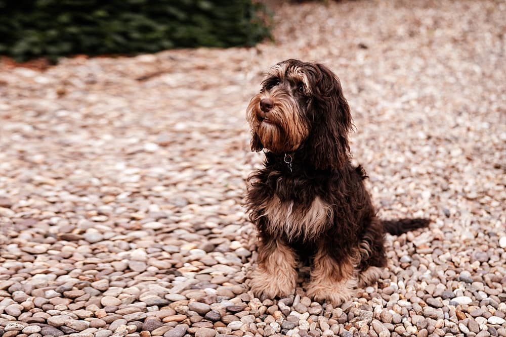 Image by <a class="text-p3" href="http://aniaames.co.uk" target="_blank">Ania Ames Photography</a>.