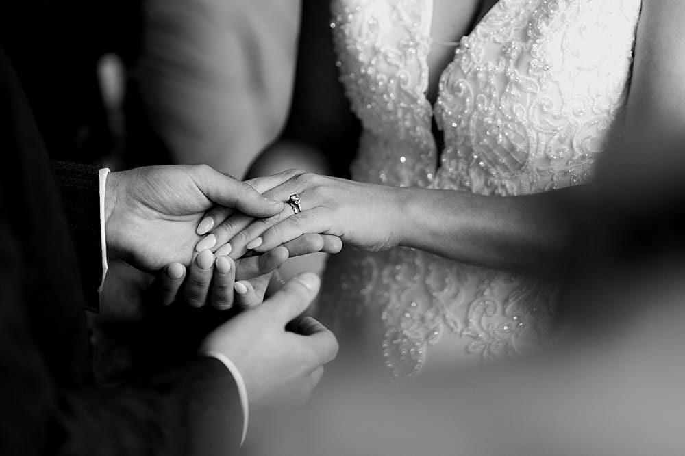 Image by <a class="text-p3" href="https://www.patrickpartridge.com" target="_blank">Patrick Partridge Photography</a>.