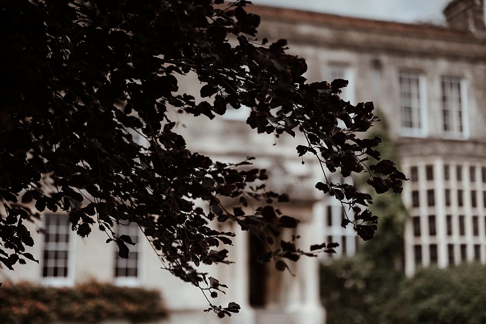 Image by <a class="text-p3" href="http://www.athinglikethatphotography.com" target="_blank">A Thing Like That Photography</a>.