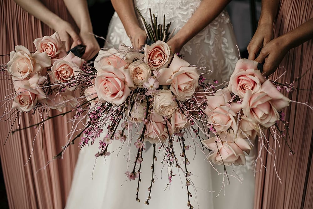 Image by <a class="text-p3" href="https://www.paigehargreaves.com" target="_blank">Paige Hargreaves Photography</a>.