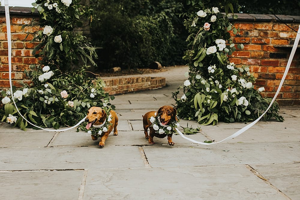 Image by <a class="text-p3" href="https://sophieannphotography.co.uk" target="_blank">Sophie Ann Photography</a>.