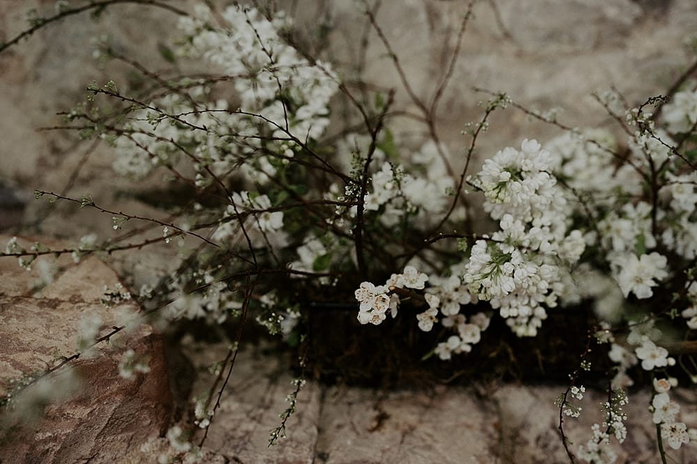 Image by <a class="text-p3" href="https://www.wearethejamess.co.uk" target="_blank">We Are The James's</a>.