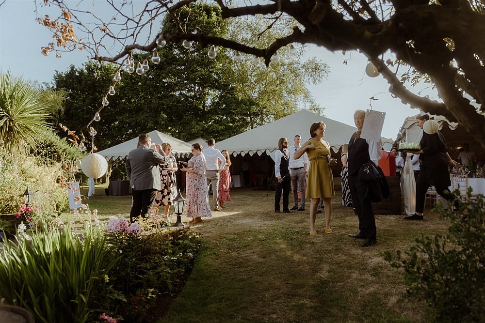 Image by <a class="text-p3" href="https://www.theharphams.co.uk" target="_blank">The Harphams</a>.