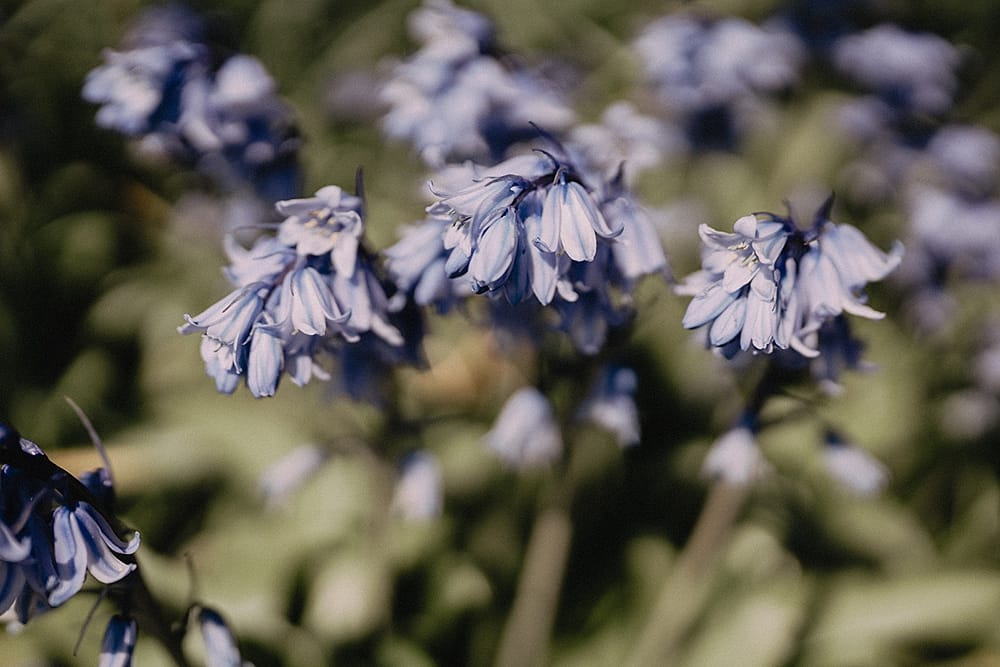 Image by <a class="text-p3" href="https://www.paulliddement.com" target="_blank">Paul Liddement Photography</a>.