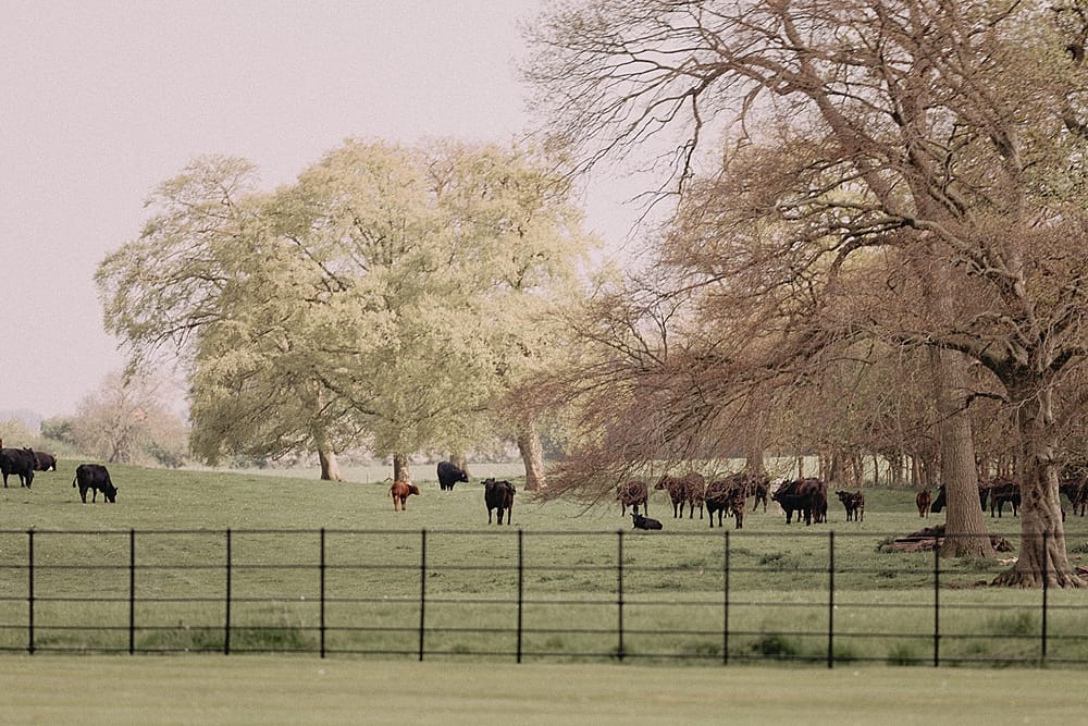 Image by <a class="text-p3" href="https://www.paulliddement.com" target="_blank">Paul Liddement Photography</a>.