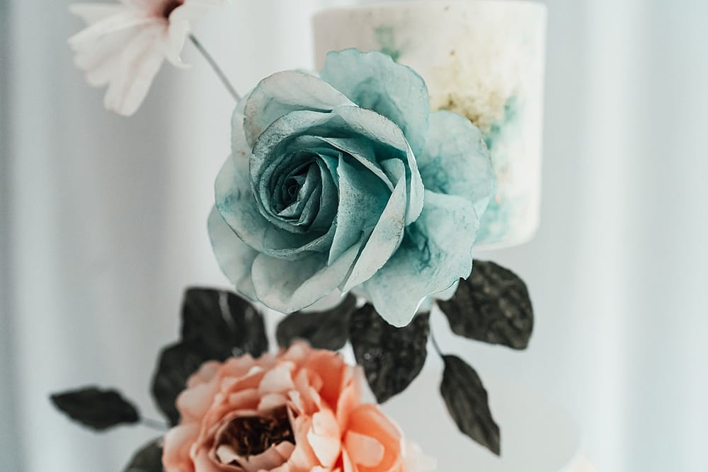 Image by <a class="text-p3" href="https://suzyelizabethphotography.co.uk" target="_blank">Suzy Elizabeth Photography</a>.