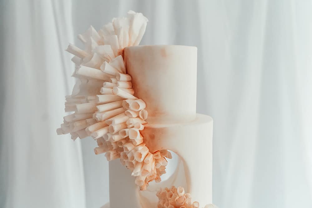 Image by <a class="text-p3" href="https://suzyelizabethphotography.co.uk" target="_blank">Suzy Elizabeth Photography</a>.