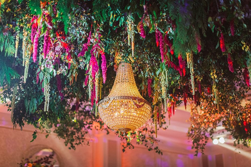 Image by <a class="text-p3" href="http://www.sanshinephotography.com" target="_blank">Sanshine Photography</a>.