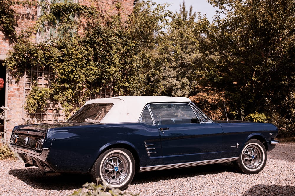 Image by <a class="text-p3" href="https://www.njphotographic.co.uk" target="_blank">Neil Jackson Photographic</a>.