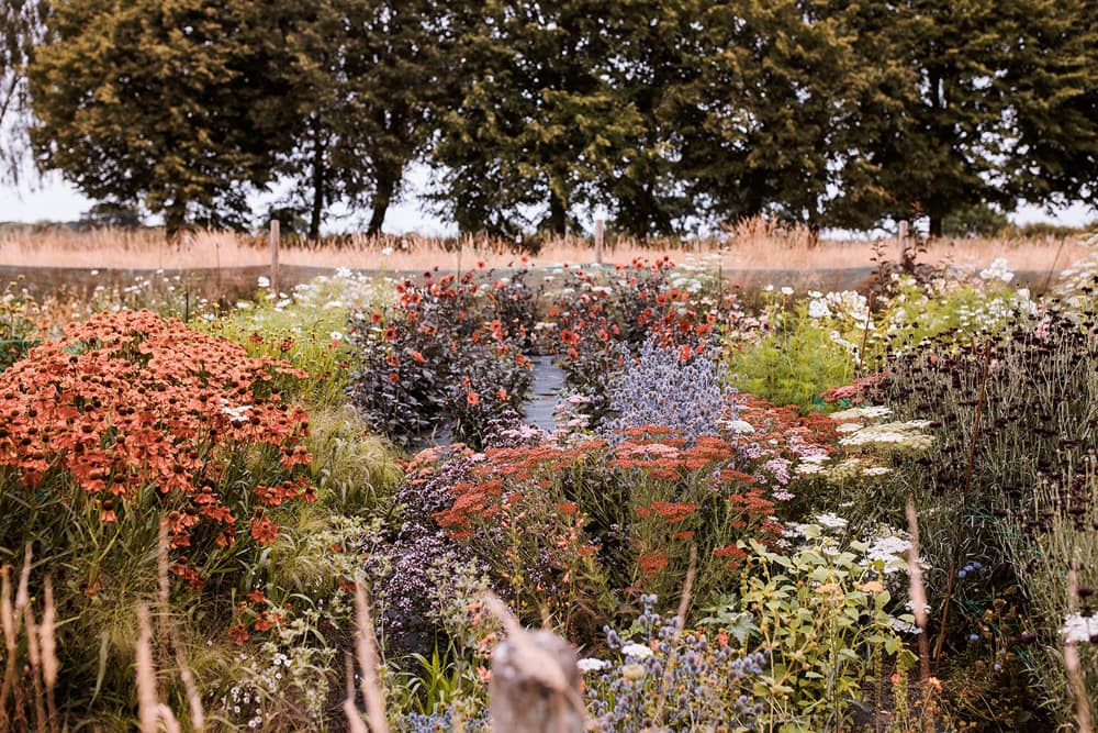 Image by <a class="text-p3" href="https://www.njphotographic.co.uk" target="_blank">Neil Jackson Photographic</a>.